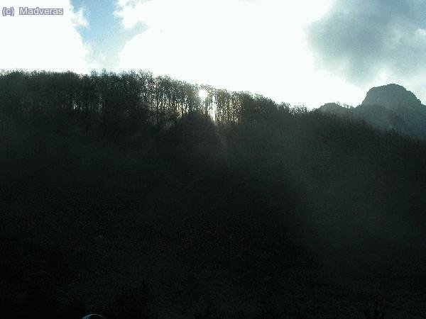 Intento de contraluz :-p ... camara nueva y eso....