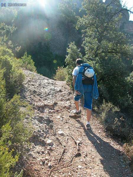 Dani camino del refu