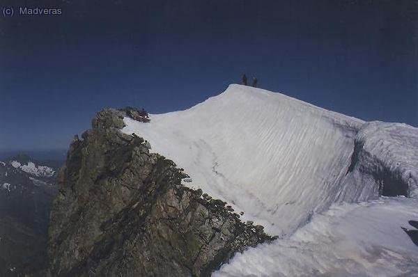 El cim de la Dome de Niege (4015m) ... anims que falta poc!!!