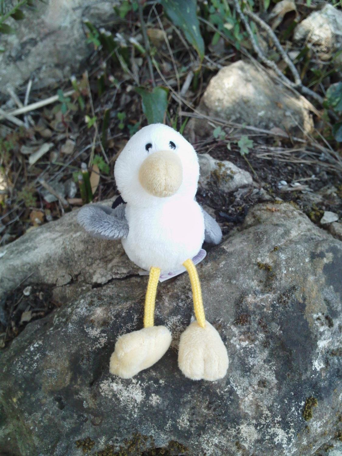 mmm.... seguro que este bicharraquillo es t&iacute;pico de la fauna de la zona?... jijijij  