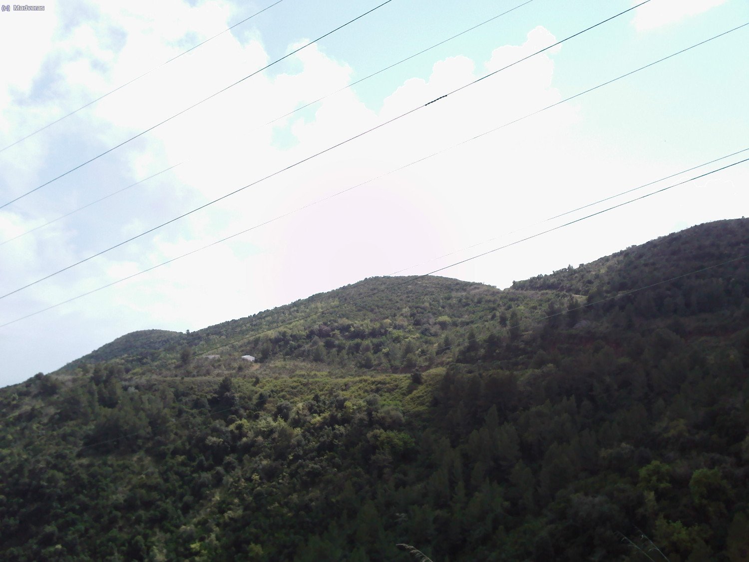 El campo de tiro visto desde el otro lado 