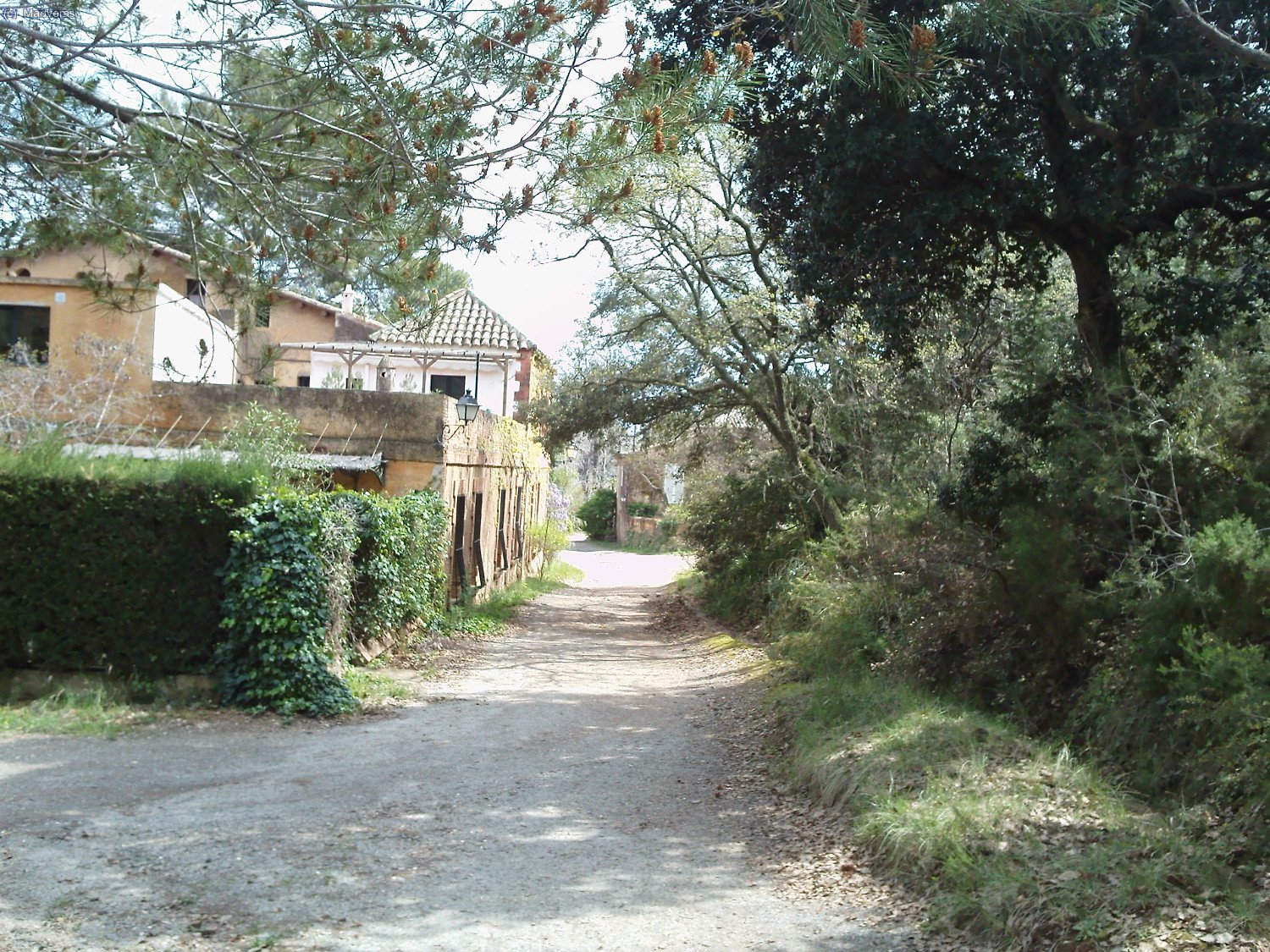 Llegando a can Amat 