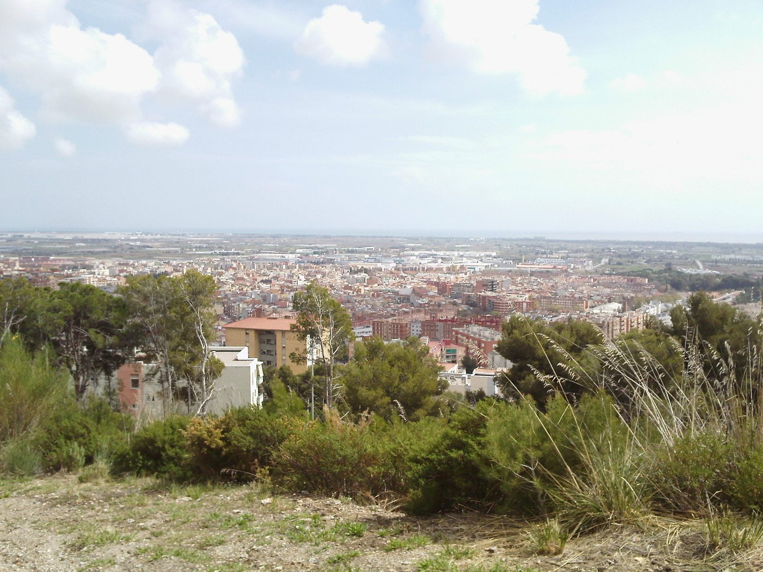 Gav&agrave; 