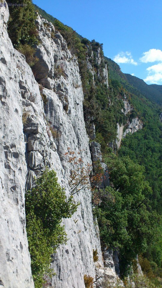 Vista de la Pared
