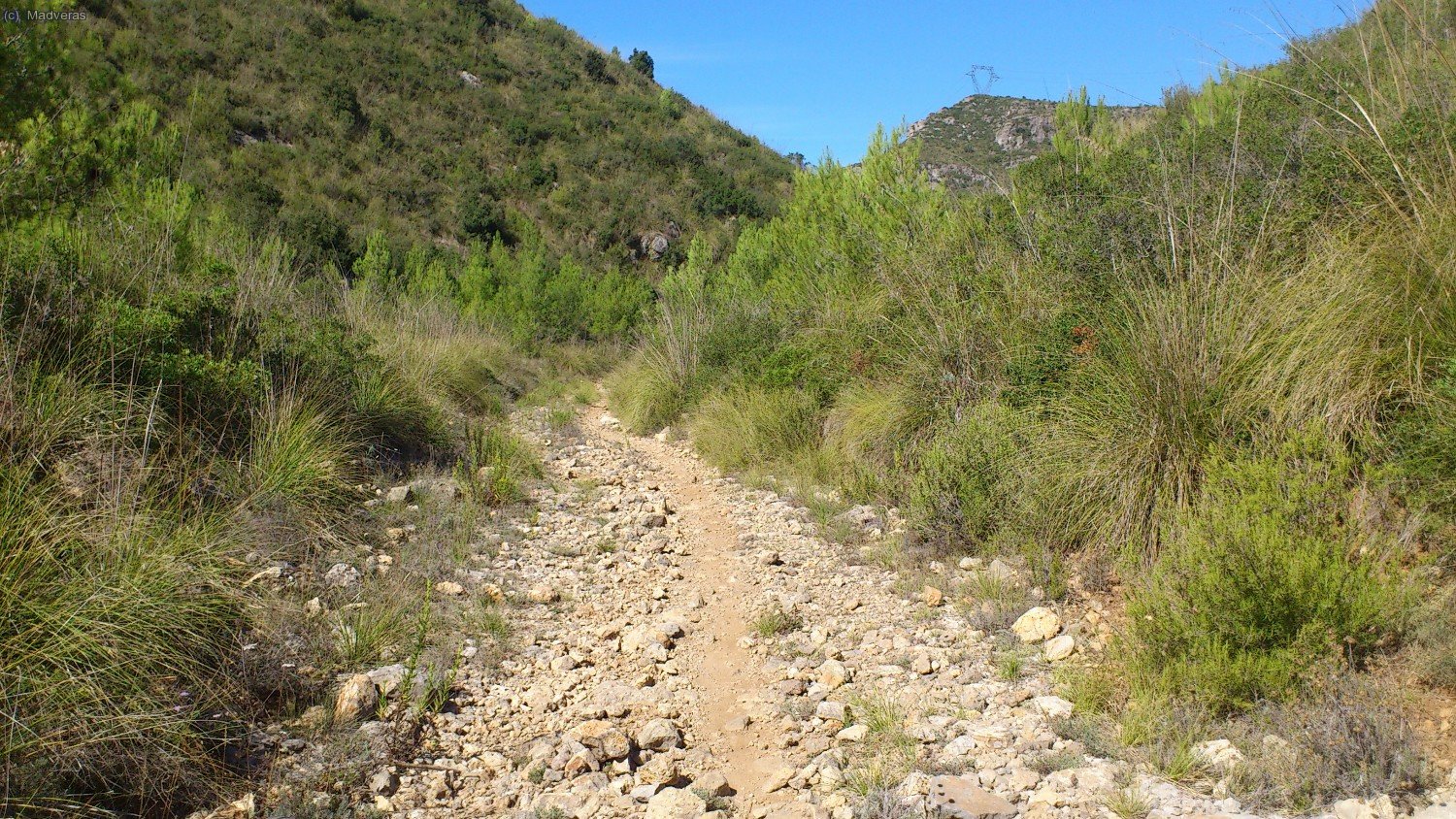 que m&aacute;s que pista.. parecia una tartera.. aqui por el medio ya se podia tirar bien.. por la parte alta todo era como estos laterales jajaja... de todas maneras, divertido lo ha sido un rato jejejeje 