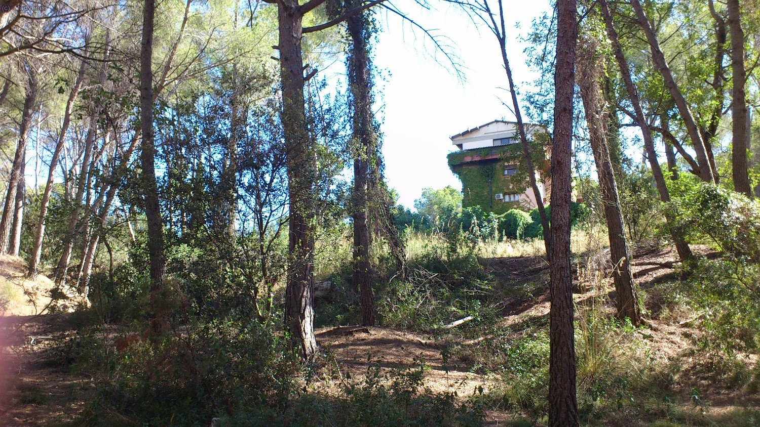 Co&ntilde;e... antes no se veia esta casa... han desbrozao