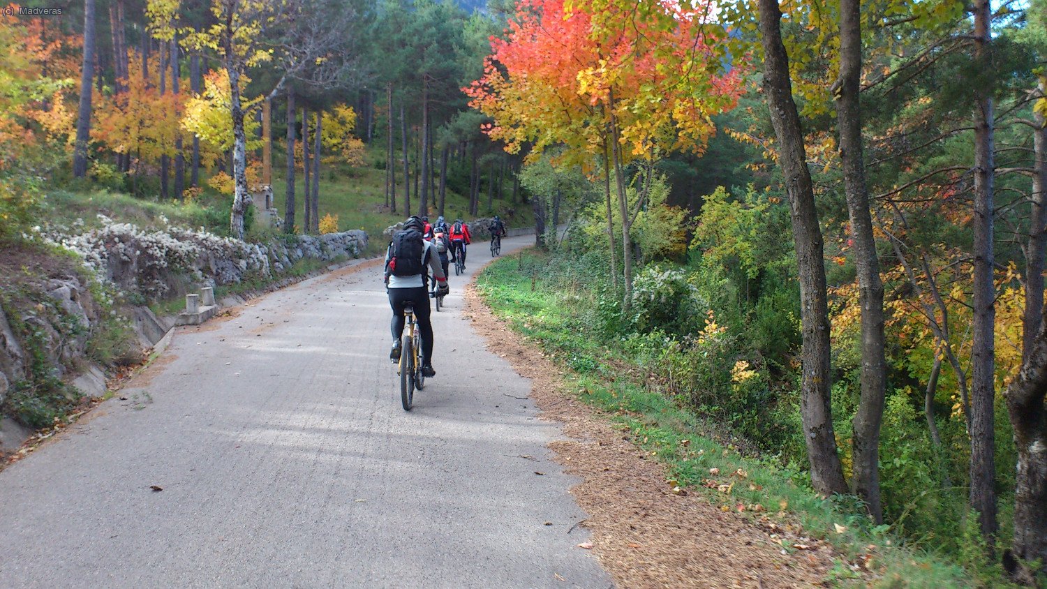 i més colors de tardor :)  