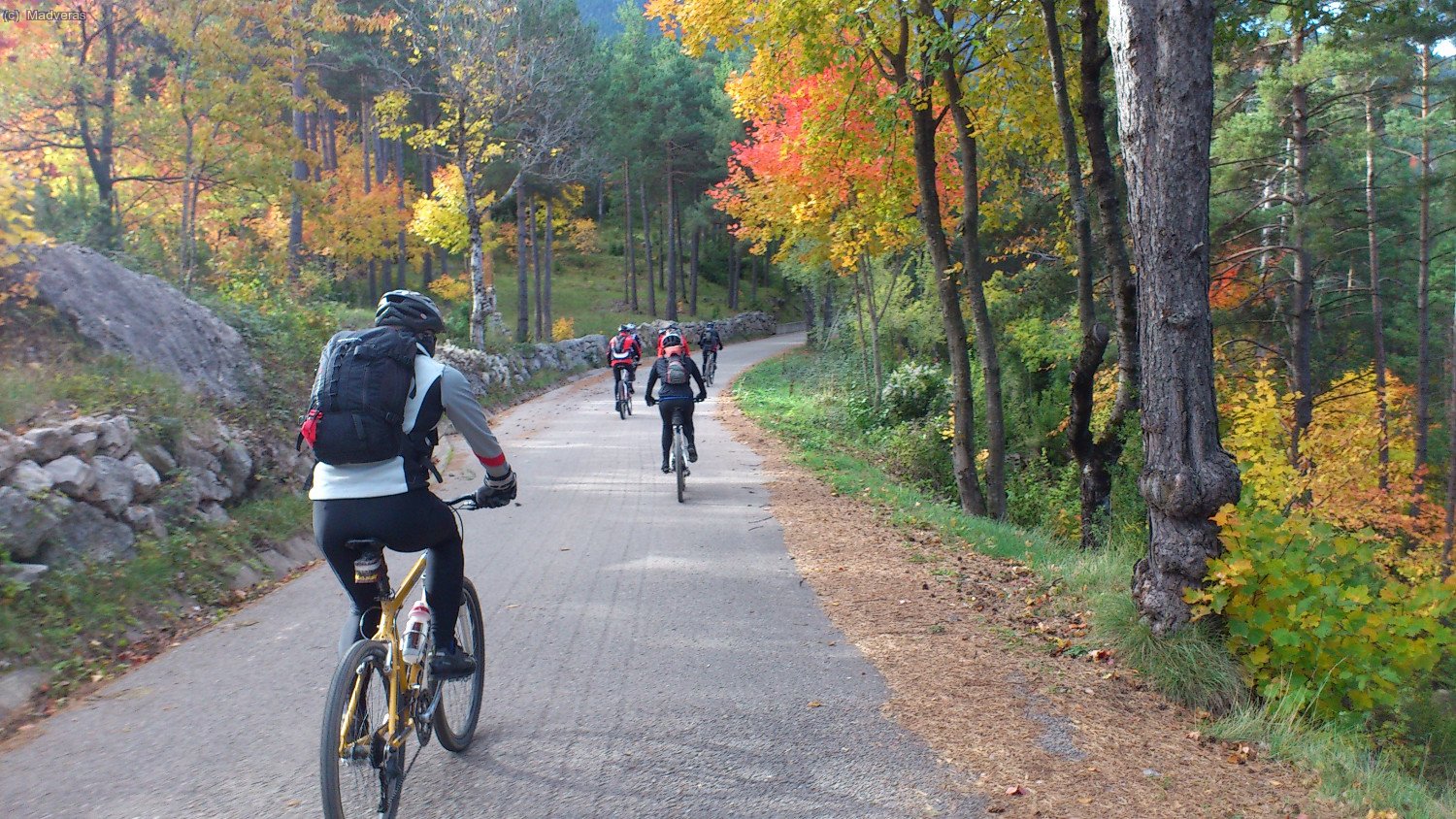 Els colors de la tardor 