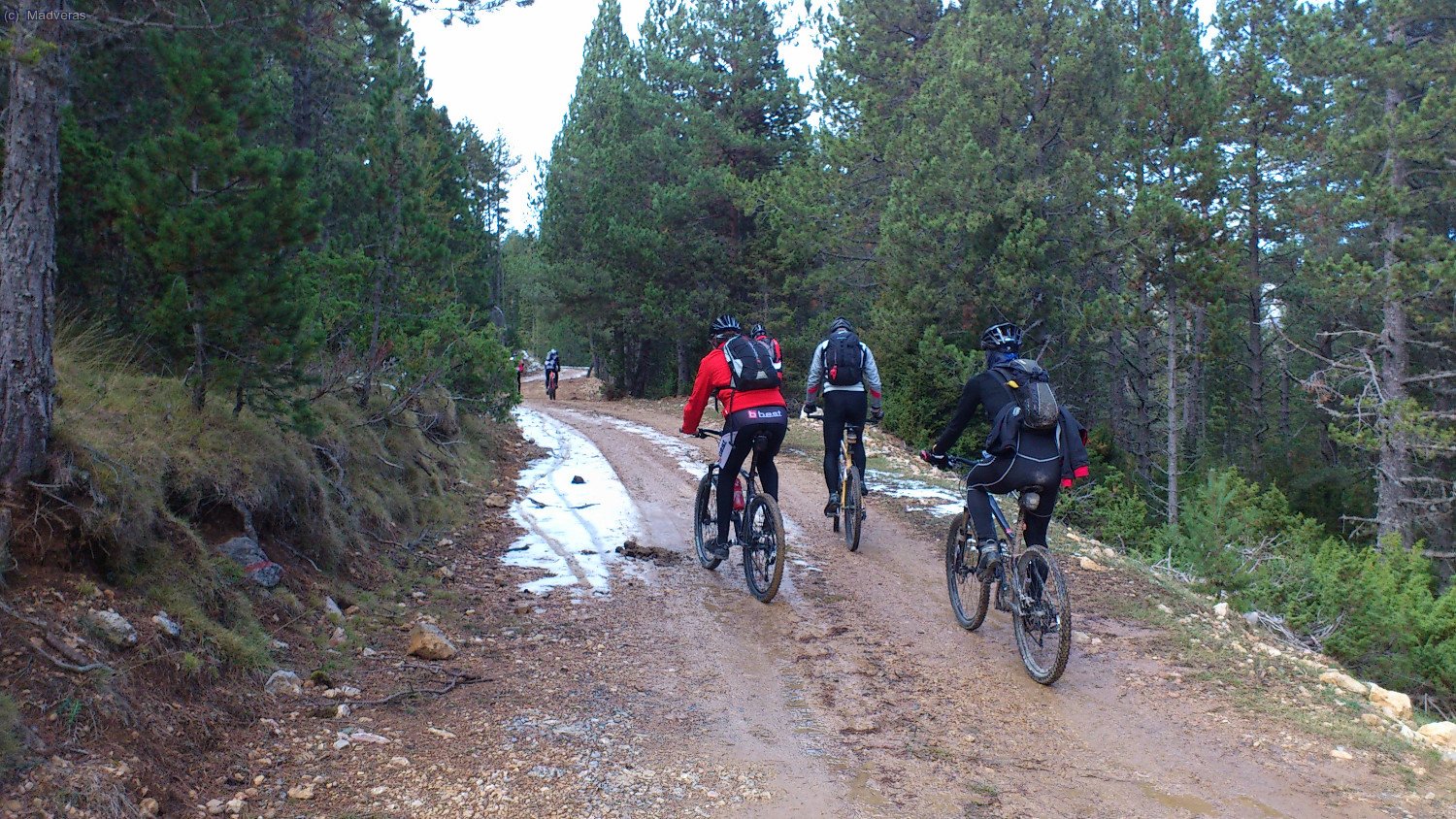 Tornem a trobar neu... 