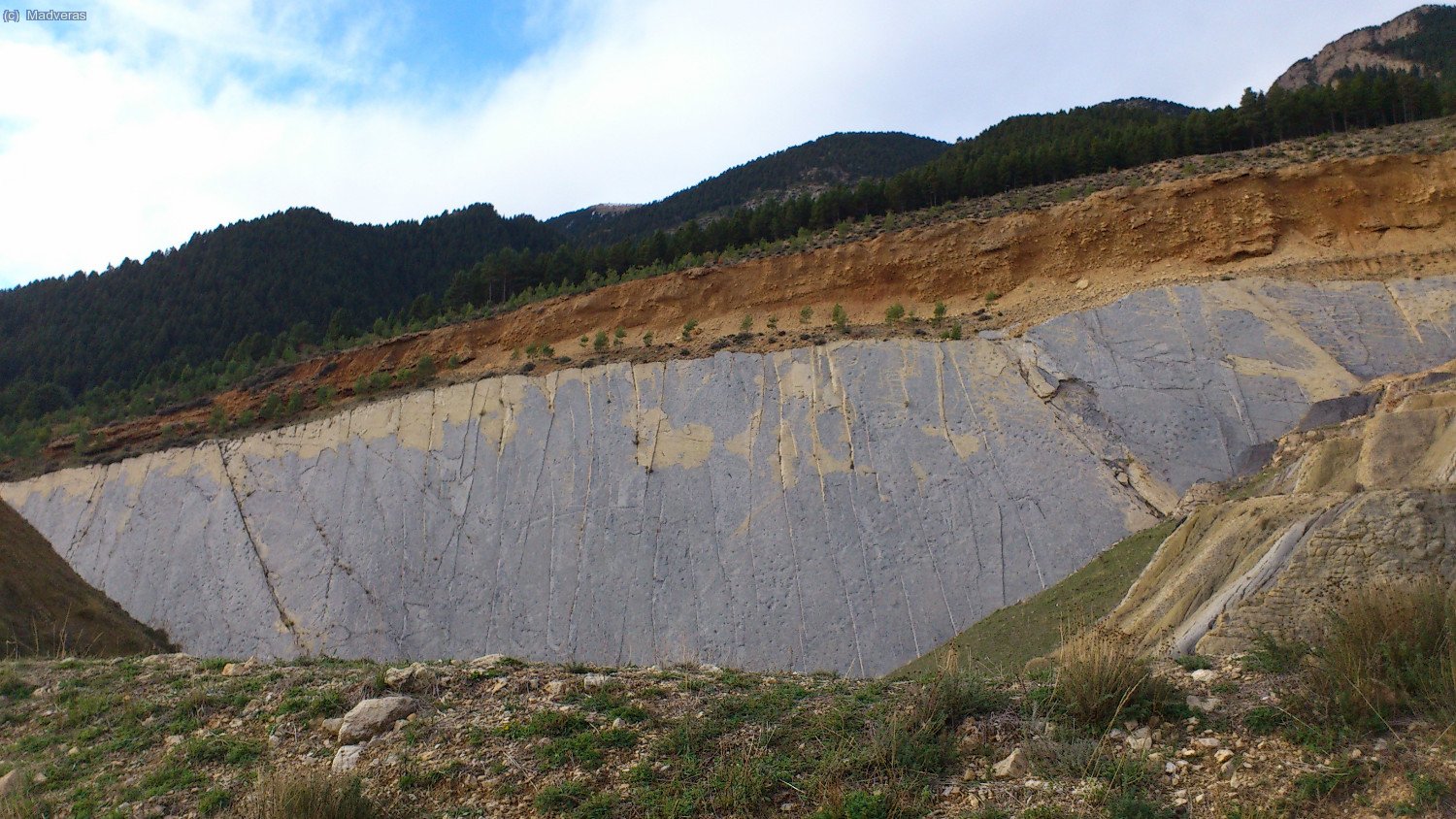 Petjades de dinosaure 