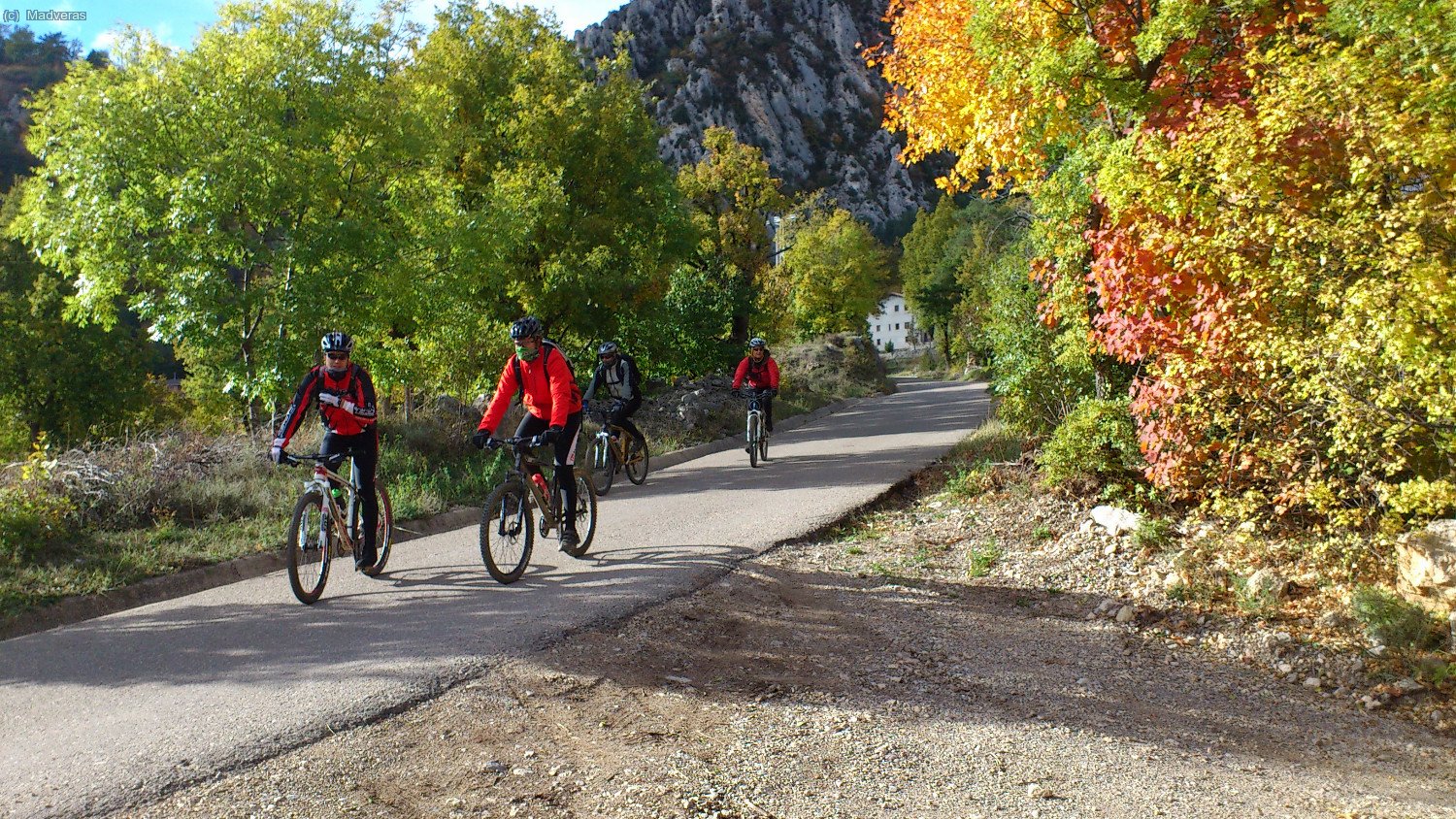 Tardor exhuberant a Vallcebre 
