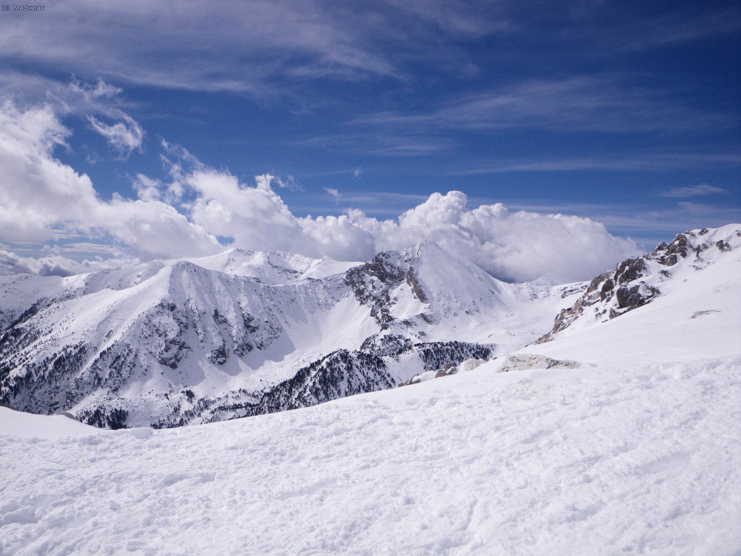 Els Fajols, esplendids!