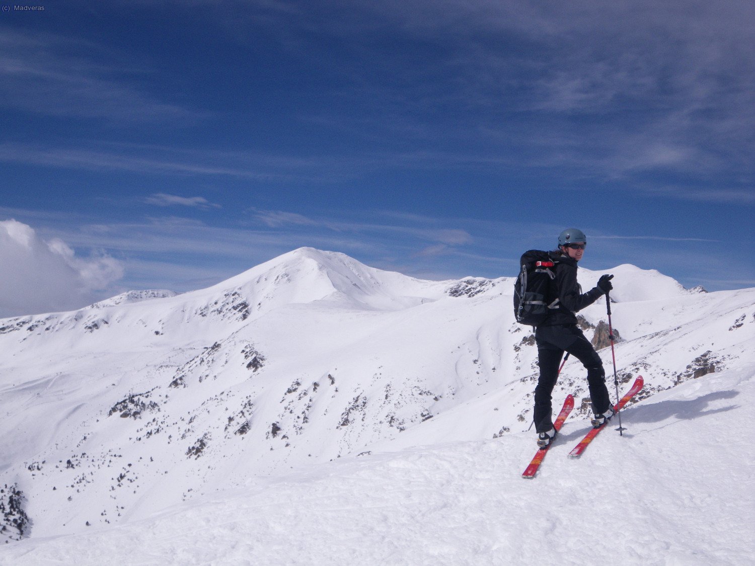 Silvieta amb Bastiments al fons
