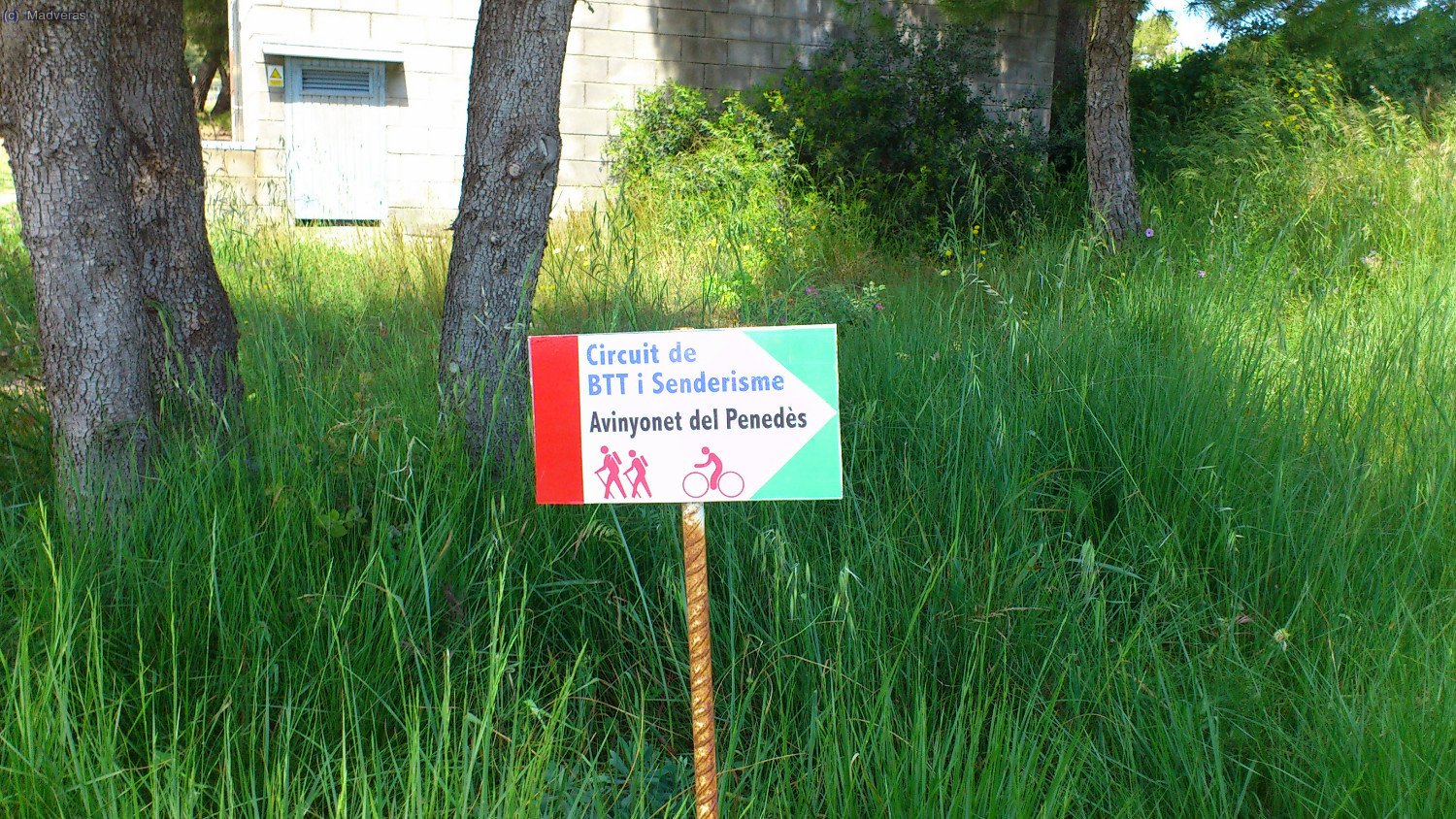 Durant un tram de ruta anem seguint aquestes marques 