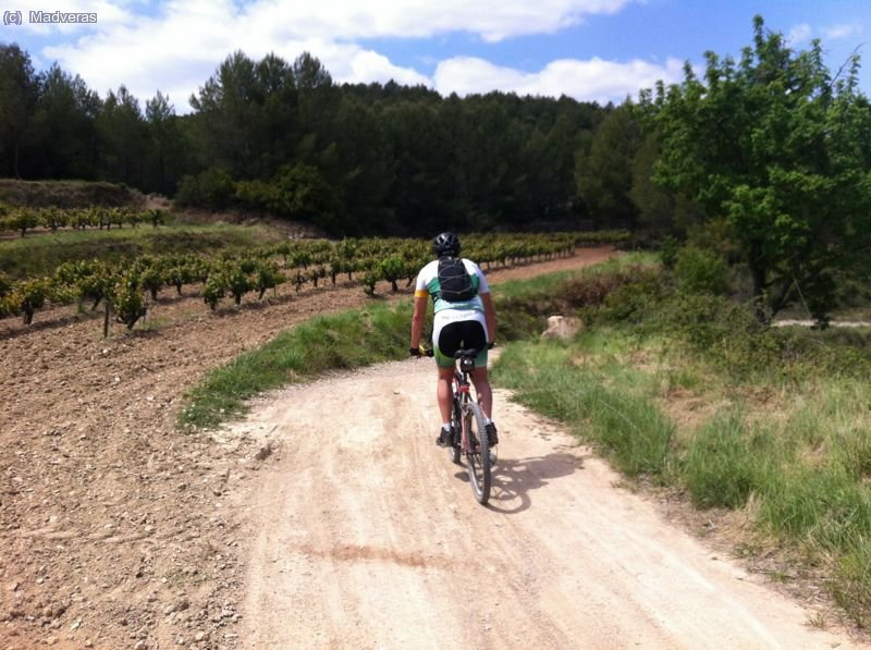 Un servidor entre les vinyes :) 