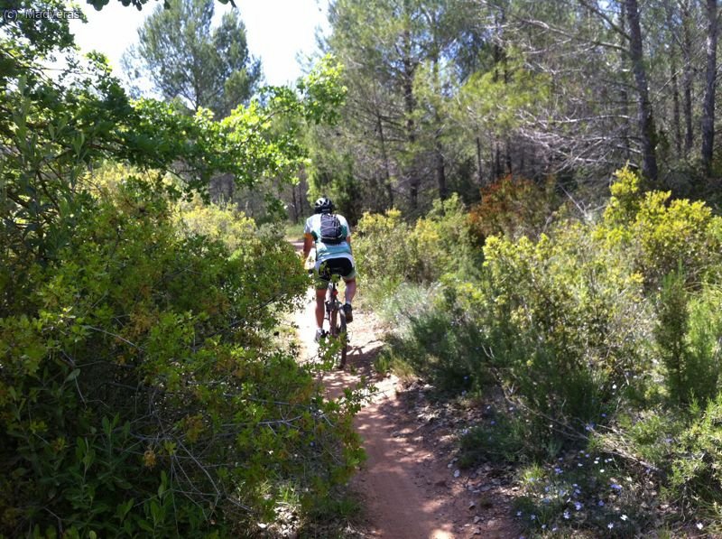 tornat de nou pel senderillu 