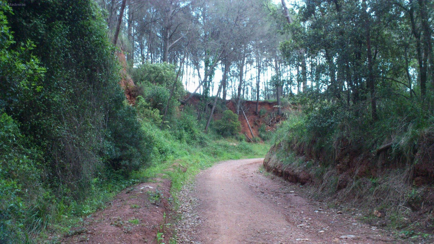 Cambio radical de paisaje 