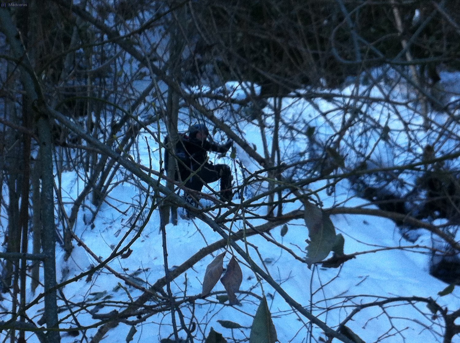 Encigalats?... noooo... que va... 