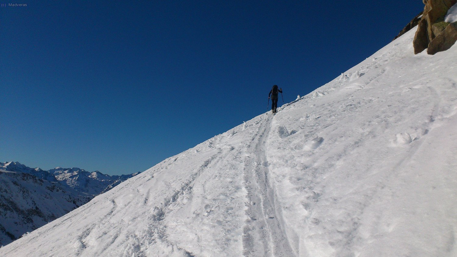 Silvieta flanquejant 