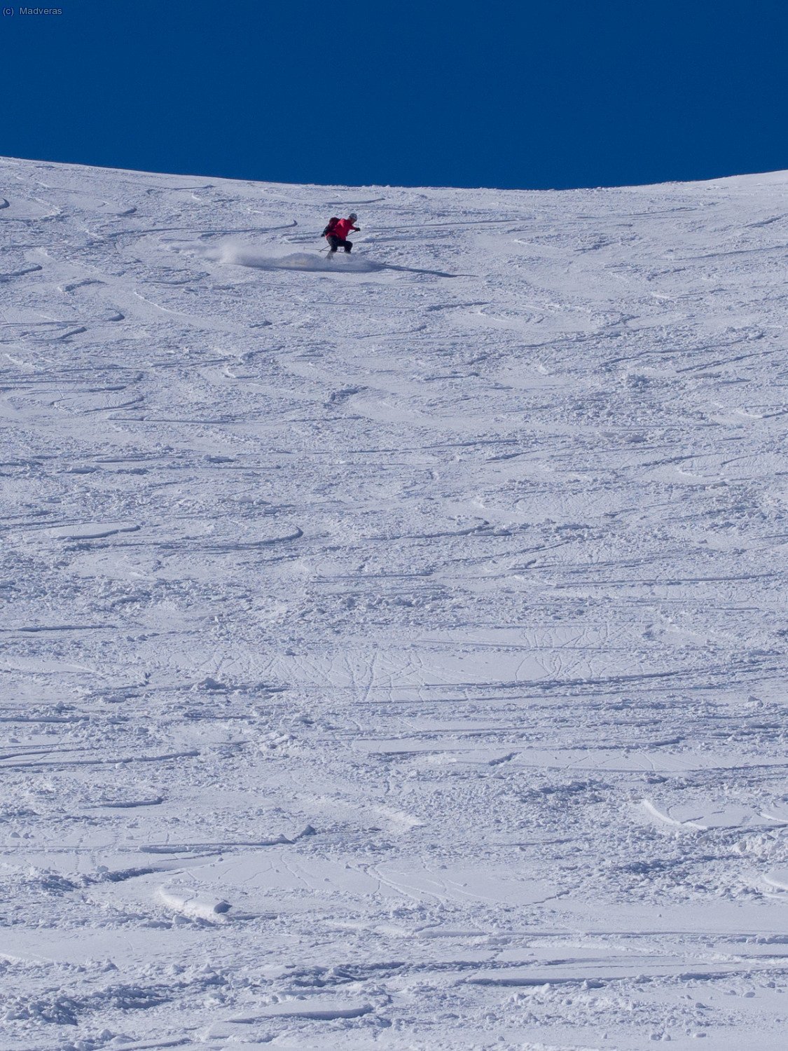 Ahí, levantando powder! kiaaaaa 