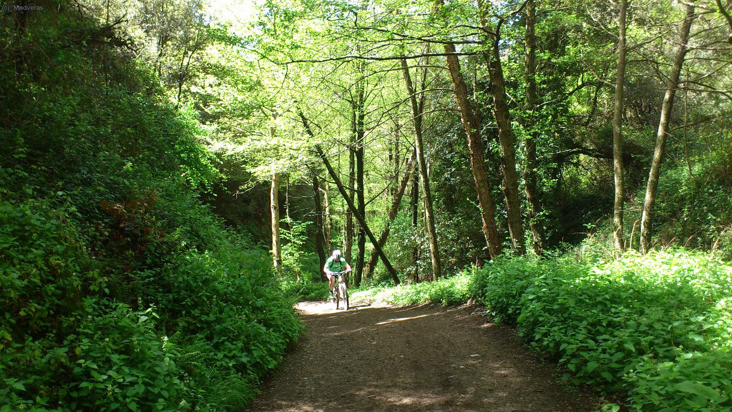 I la pujada apreta que apretarà 