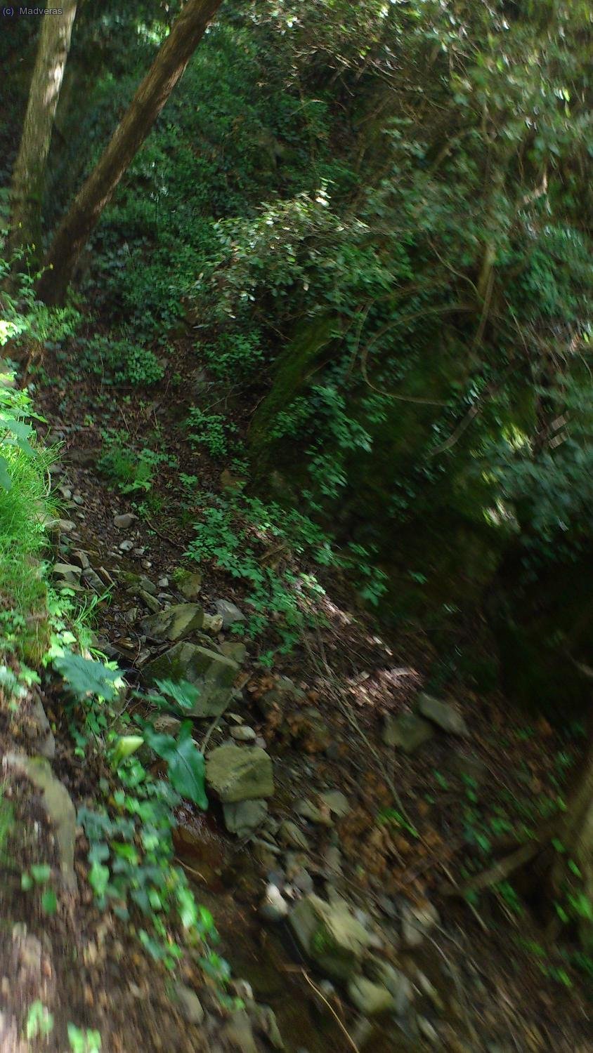 Un torrentet bucolic que corre paralel a la pista.... si, també feta la foto fent equilibris a la bici 