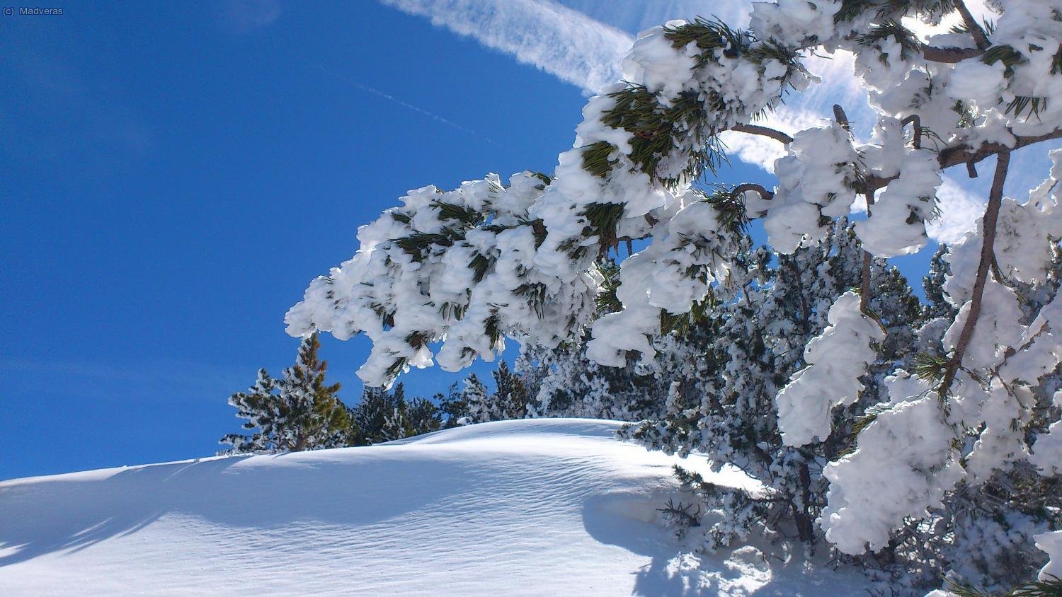 No parece primavera no... :p