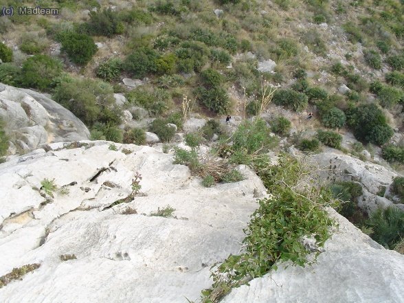 Hay gente esperando a pie de via