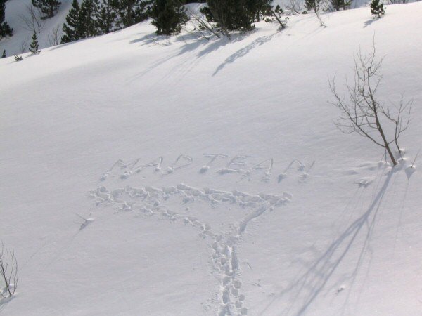 Ida de olla del presi jajaja Foto: Dave