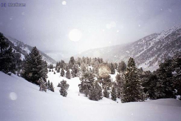 Despues del tormentó de nieve un bonito fondo de pantalla