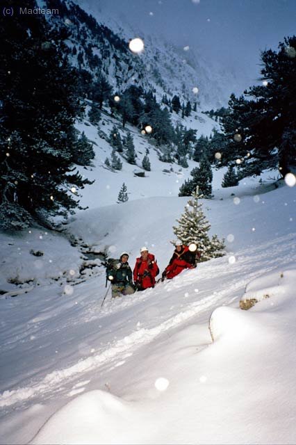 Ya de noche tomamos esta postal de navidad :-P