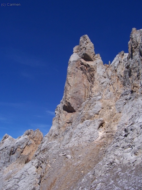 La aguja Bustamante.