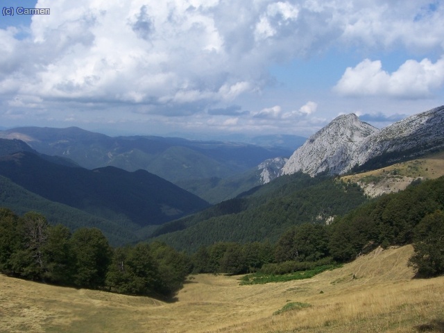 Por ah&iacute; abajo de ese bosque, en alg&uacute;n sitio todav&iacute;a bastante lejano, sabemos que est&aacute; Isaba, pero a&uacute;n nos quedar&iacute;an cerca de 3 horas para llegar al pueblo.