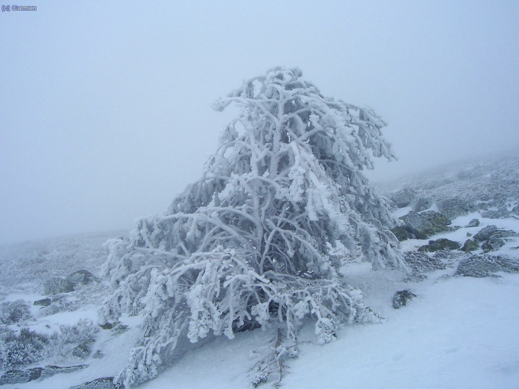 Por la cara norte hab&iacute;a m&aacute;s nieve....