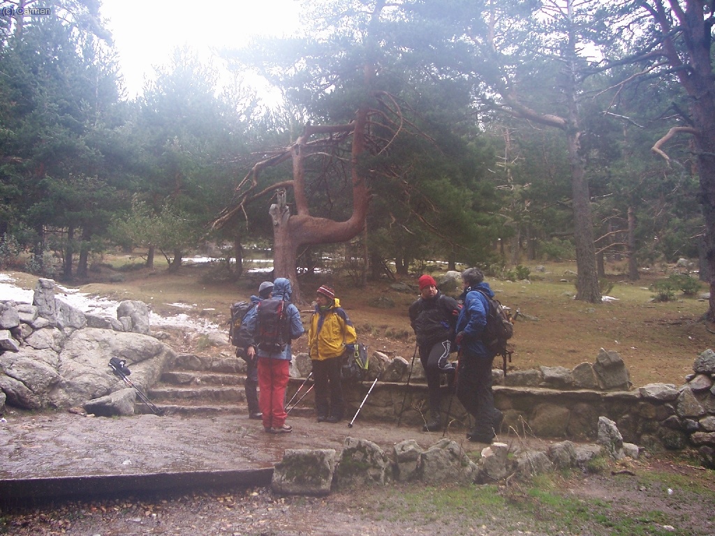 .... donde comentamos a qu&eacute; sitio vamos a ir a comer. Media hora m&aacute;s de paseo por el bosque y estaremos en los coches.