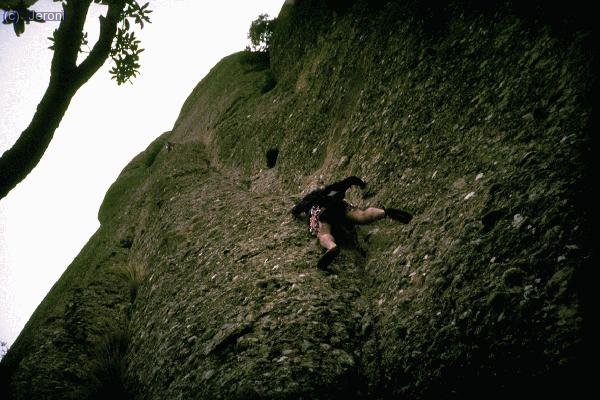 2&ordm;largo Riera-Cerd&aacute;