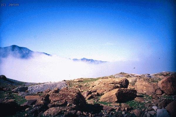 Niebla camino de Sarradets