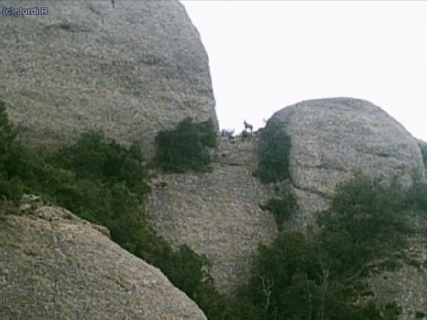 barallant-se......(impressionant)