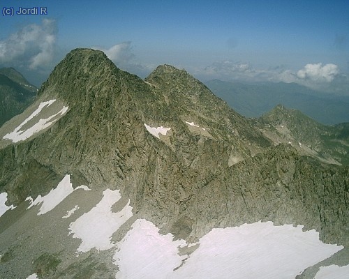 lezat amb la cresta fins crabioles...