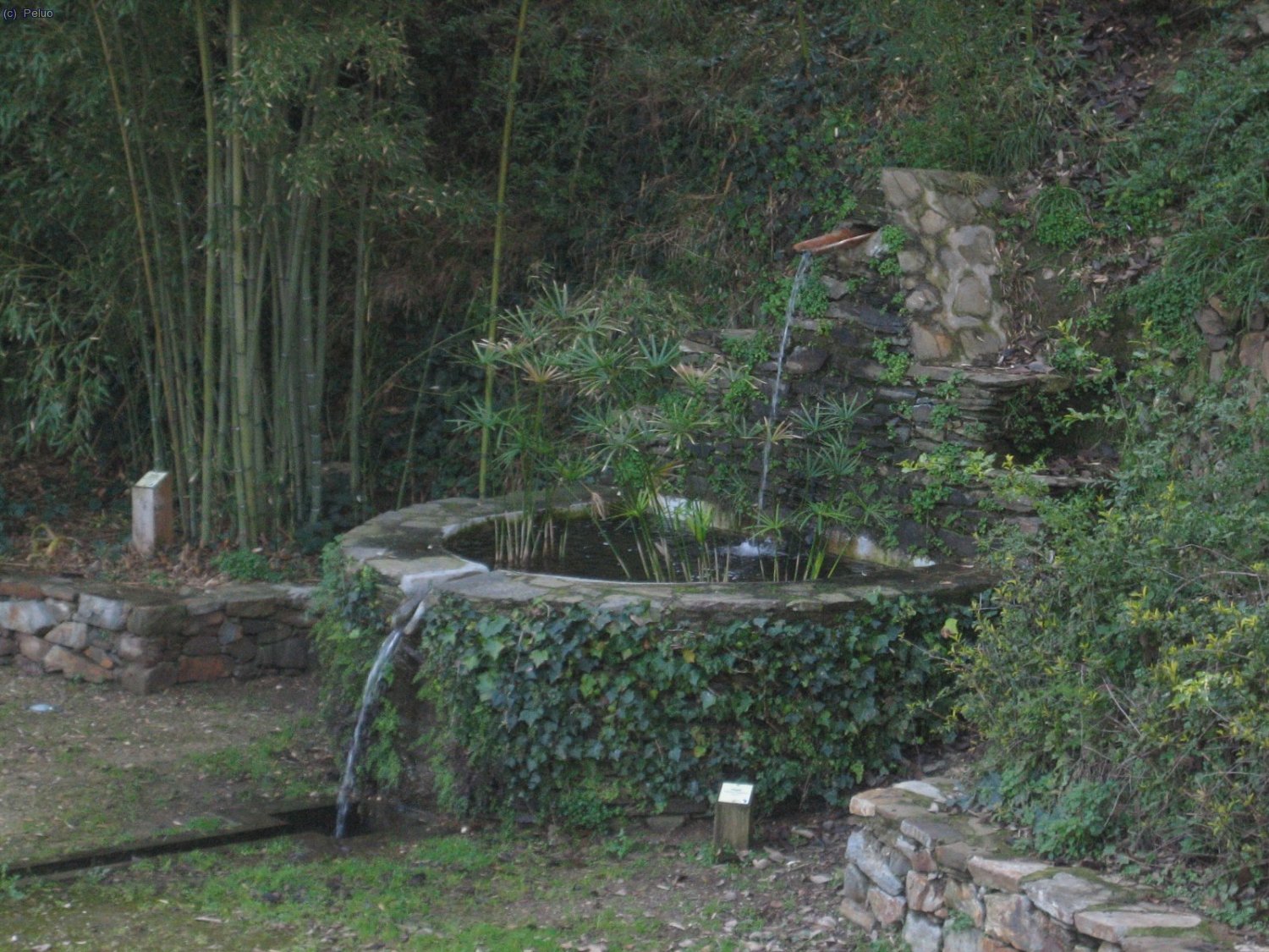 Jardins de Can Borni.