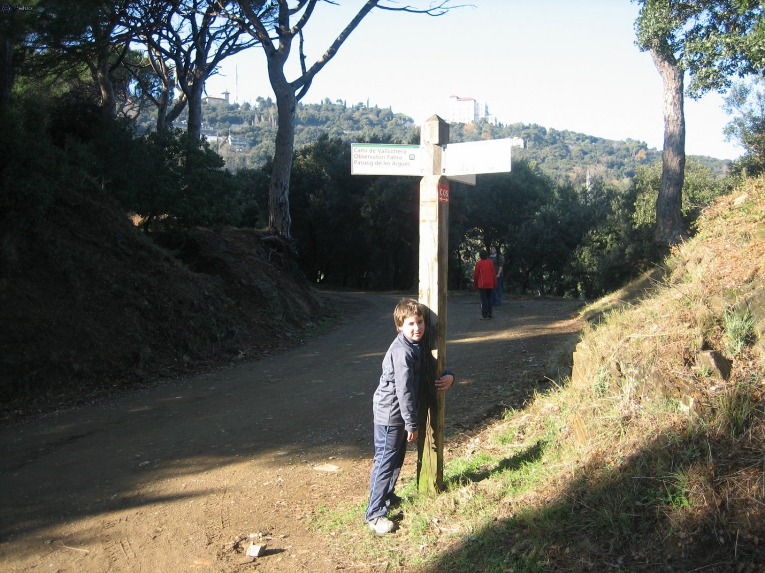 Tornada des de el Pla dels Maduixers.