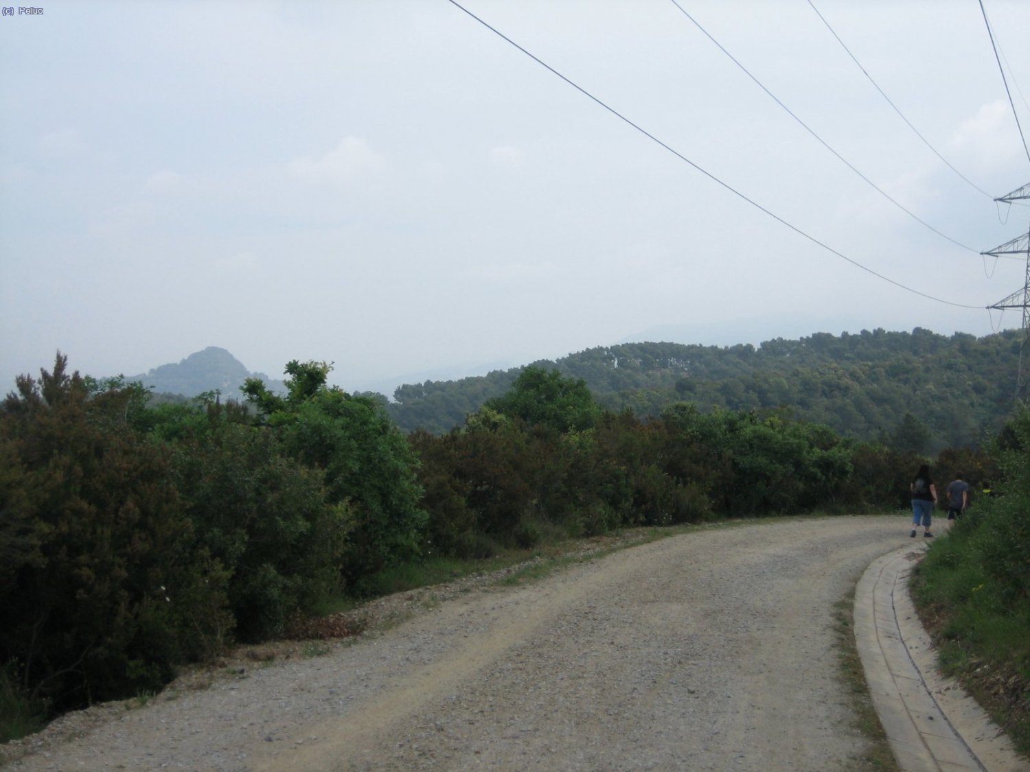 Pista molt ampla que davalla cap el Coll de la Ventosa.