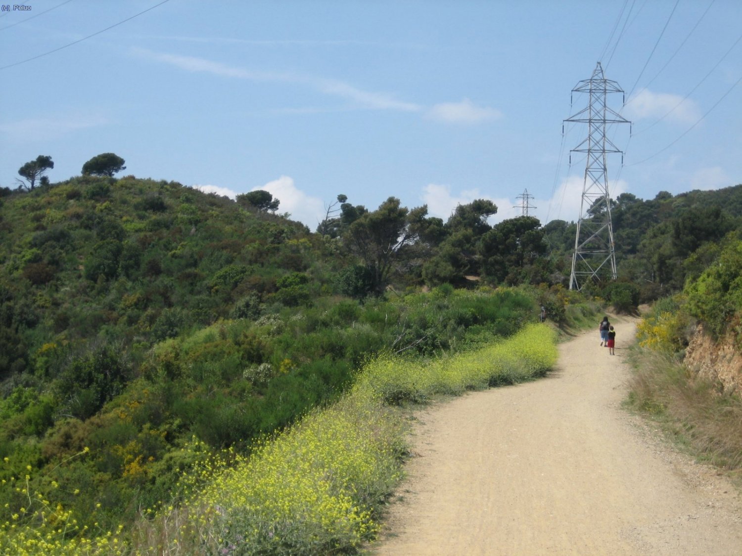 La tornada al cotxe &eacute;s dura de pujada