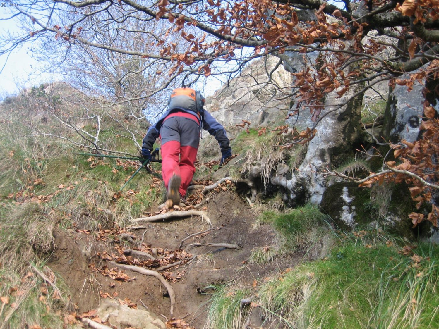 Dretes pujades per terreny rellisc&oacute;s.