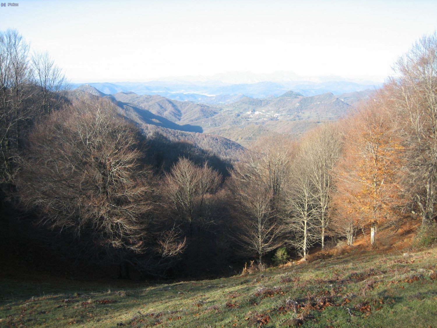 El cami va per damunt de la Collada de Sant Bartomeu.