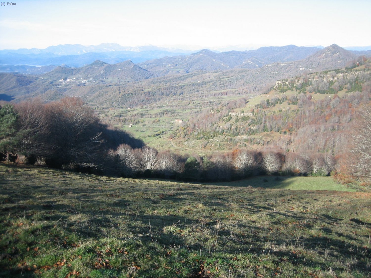 vista cap a Vidr&agrave; pels voltants del Pla Traver.