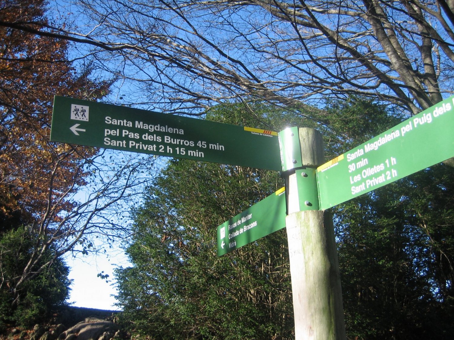 Cru&iuml;lla de camins que ens indiquen cap on anem ara..."Cami dels Burros".