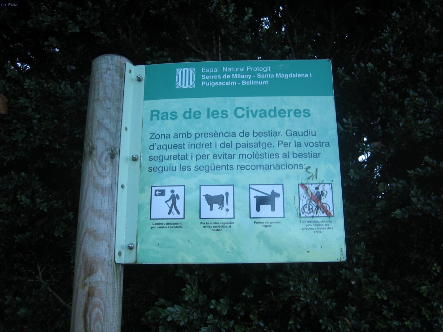 Entrada al Pla de les Civaderes.