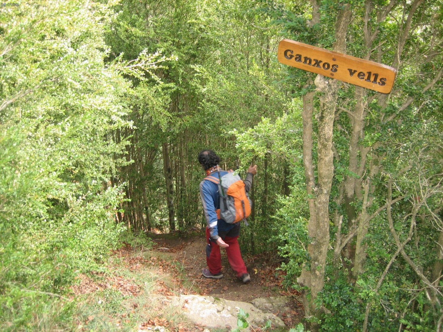 Entrem a la canal dels Ganxos vells.