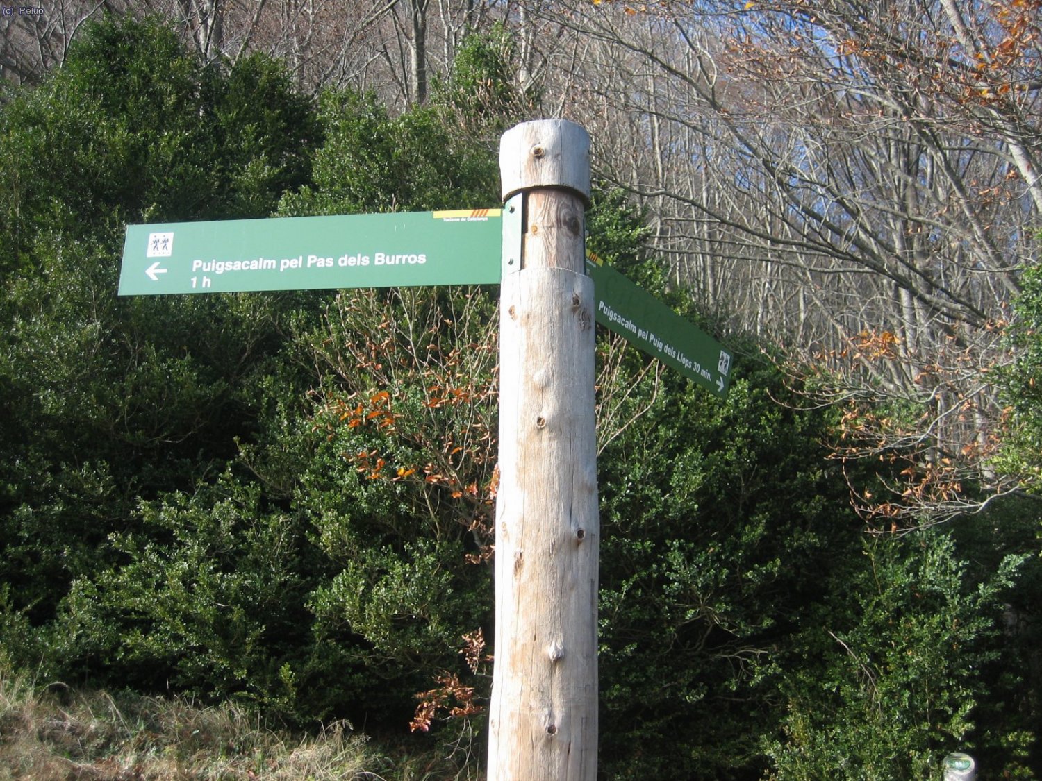 Cru&iuml;lla de camins al coll dels Burros.